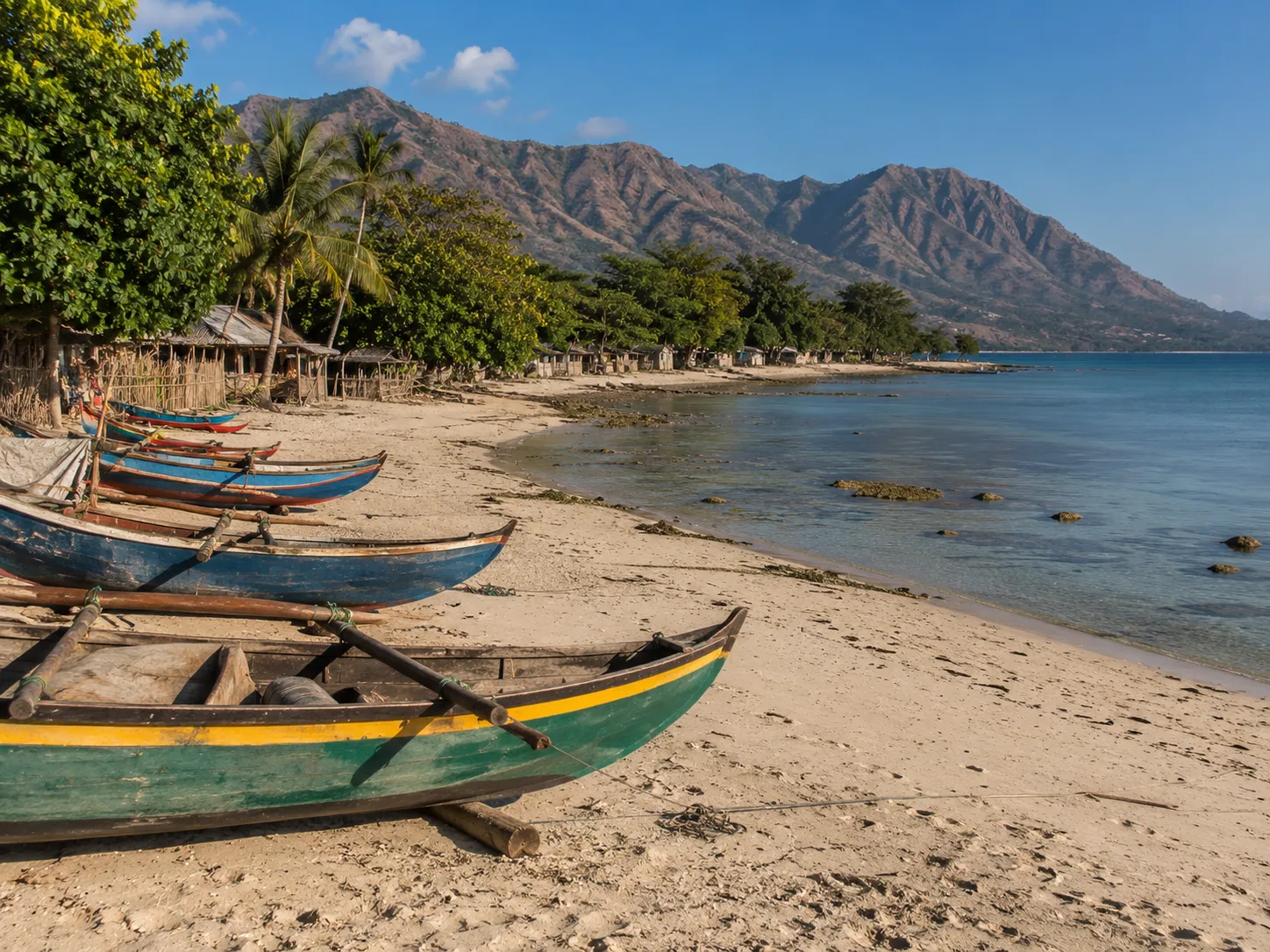 Curving Timor-Leste coast with palm trees and turquoise water