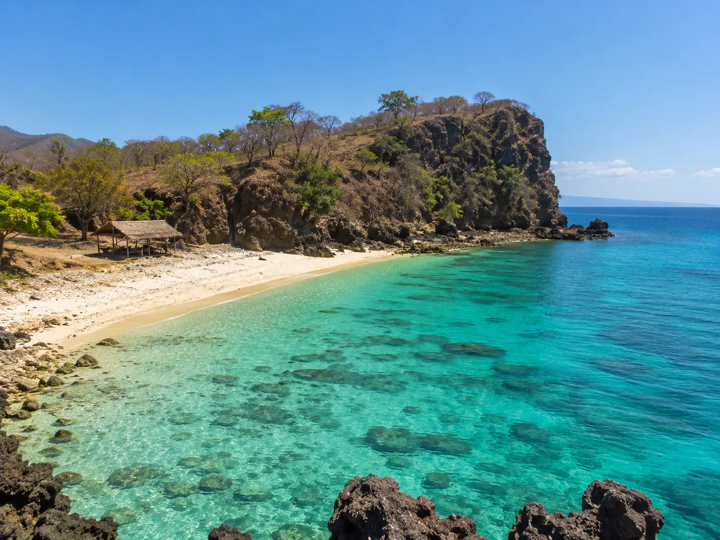 Driftwood and white sand on the south coast of Timor-Leste