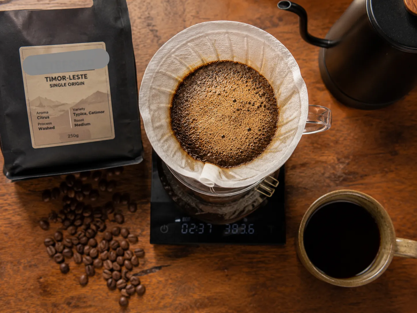 Shade-grown coffee under tall canopy trees in Ermera