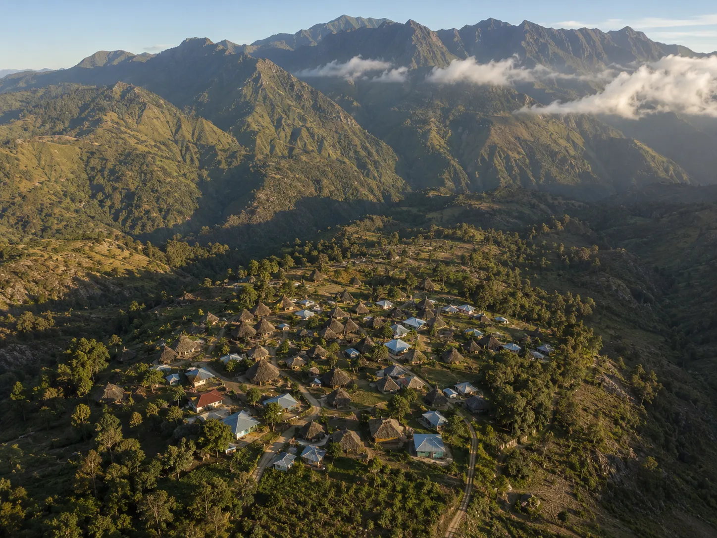 Misty ridge trail through Timor-Leste highland coffee country